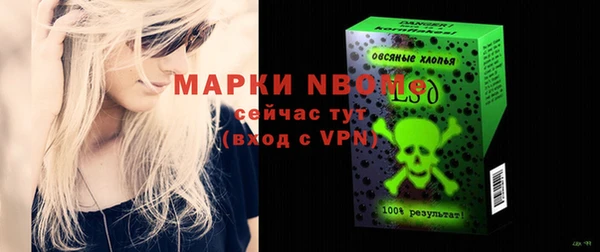 хмурый Гусь-Хрустальный
