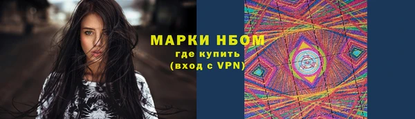 хмурый Гусь-Хрустальный