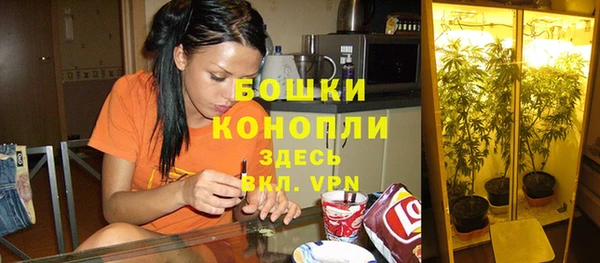 хмурый Гусь-Хрустальный