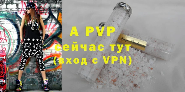 хмурый Гусь-Хрустальный