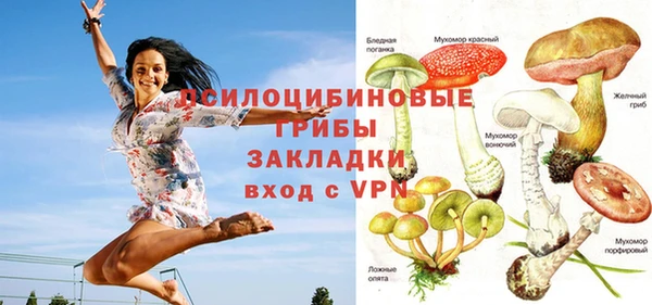 стафф Гусиноозёрск