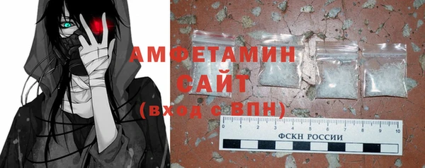 хмурый Гусь-Хрустальный