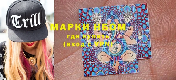хмурый Гусь-Хрустальный