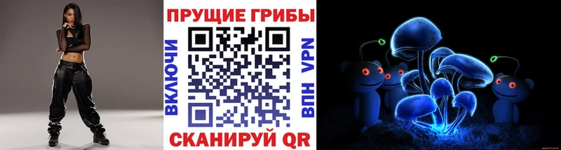 Купить  Киржач  Псилоцибиновые грибы Psilocybine cubensis 